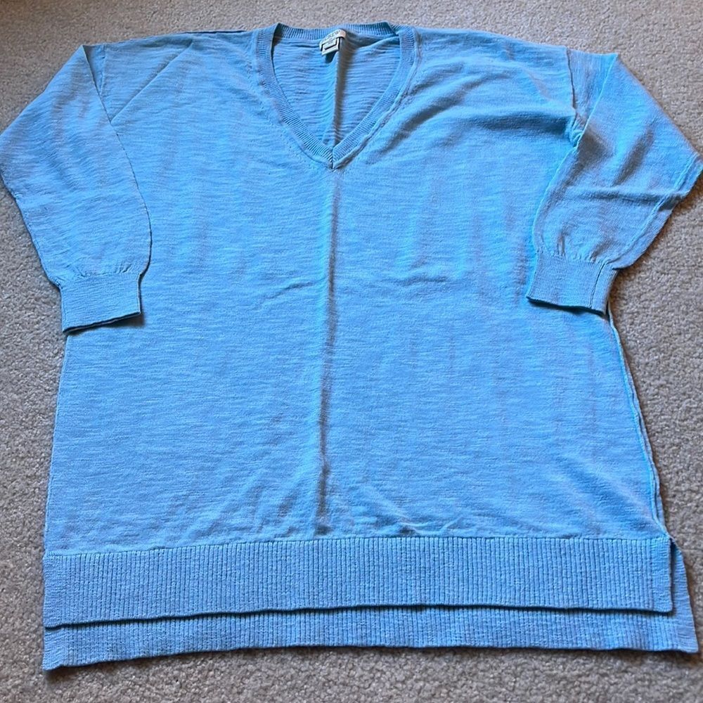 Jcrew v-neck sweater NWOT